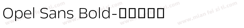 Opel Sans Bold字体转换